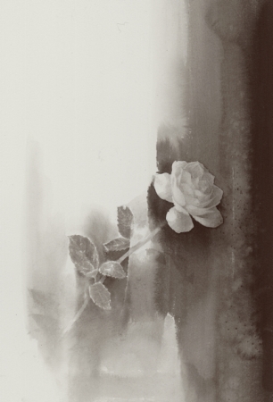 rose of may １７阪急